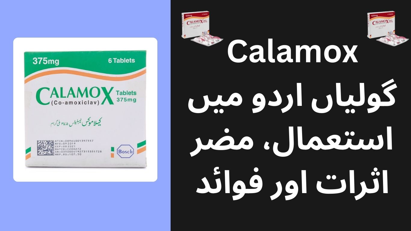 Calamox گولیاں اردو میں استعمال، مضر اثرات اور فوائد